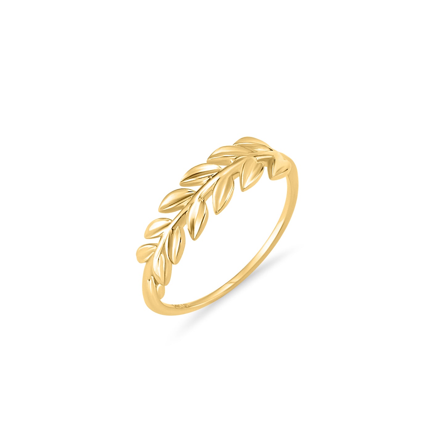 Ania Ring