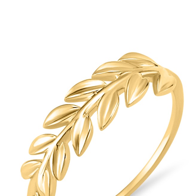 Ania Ring
